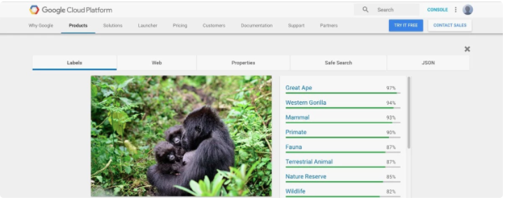 Google 向企業提供的雲計算圖像識別服務可以自由地稱大猩猩為大猩猩。