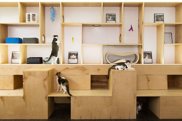 5-New-York-City-Cat-Cafe-Meow-Parlour-Adoption-Architecture-Design
