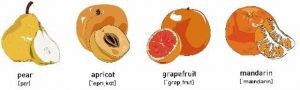 Papaya_3 (640x193)