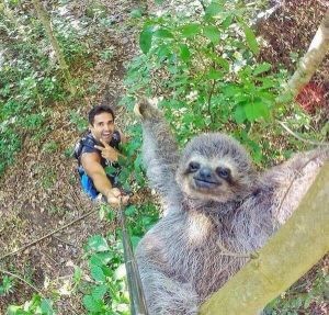 Sloth selfie - Imgur