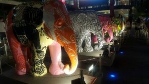skmElephant_7
