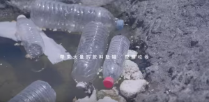 蘭嶼_8