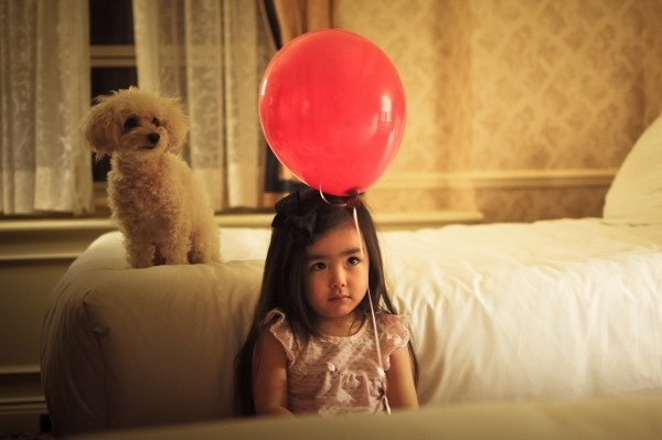 child-girl-balloon-dog-puppy-female-portrait