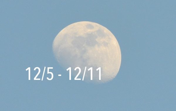 13770932