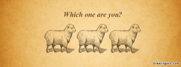 follow-like-sheep-facebook-cover (1)