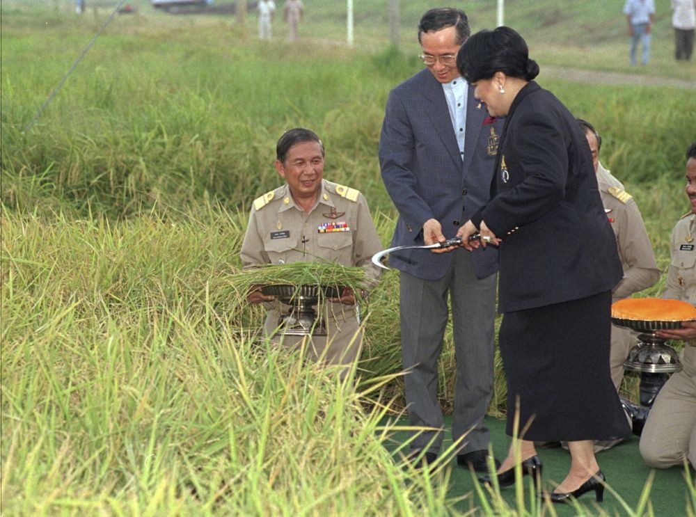  泰王蒲美蓬進行泰國全境的農業改革。（湯森路透）