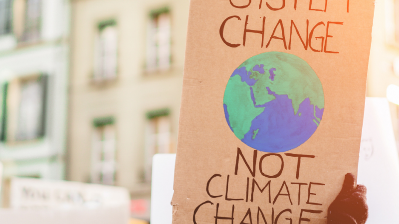 system change not climate change