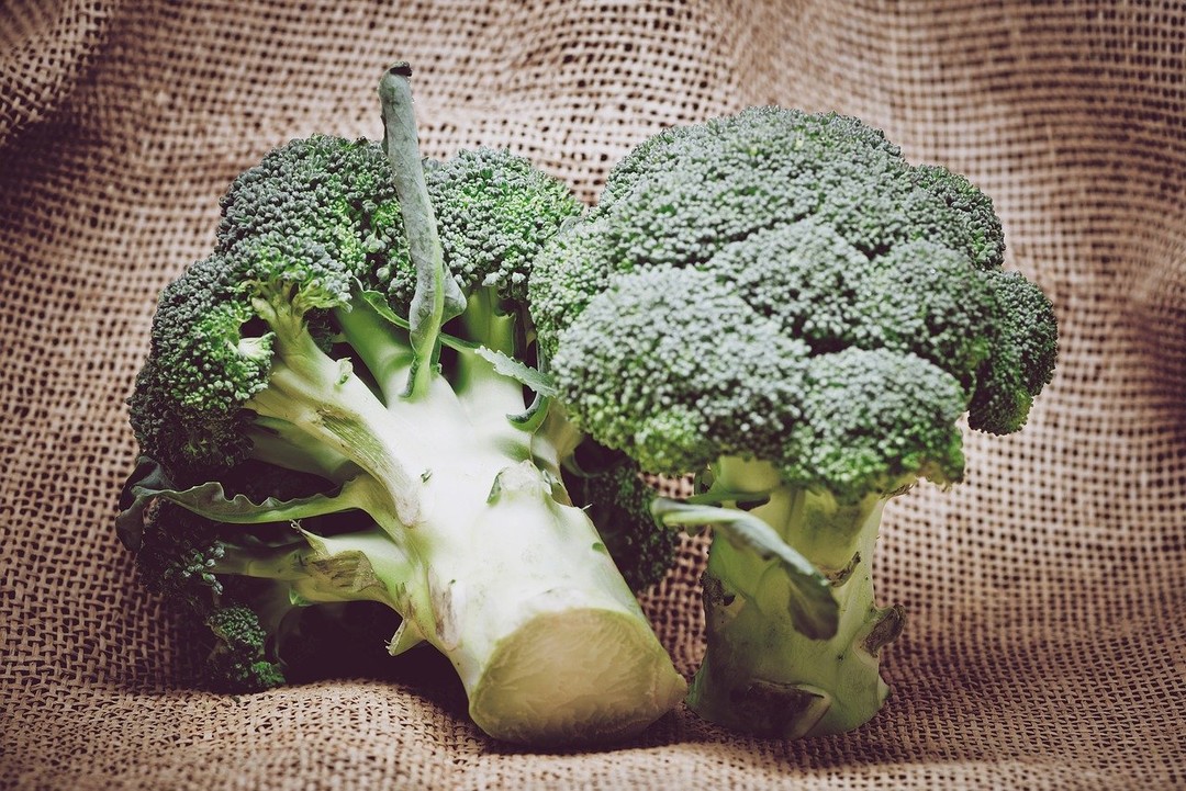broccoli prevent COVID-19