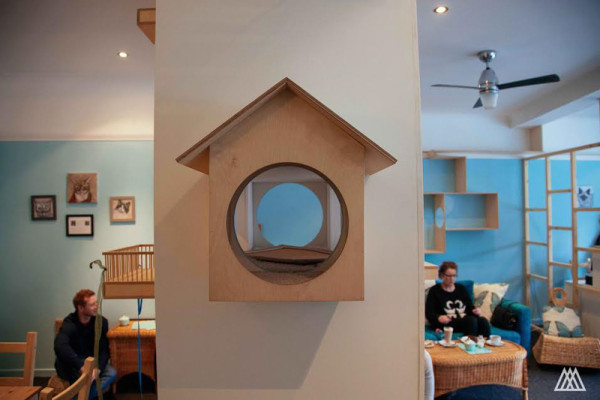 SPLINTR-MaisonDeMoggy-Cat-Cafe-4-600x400