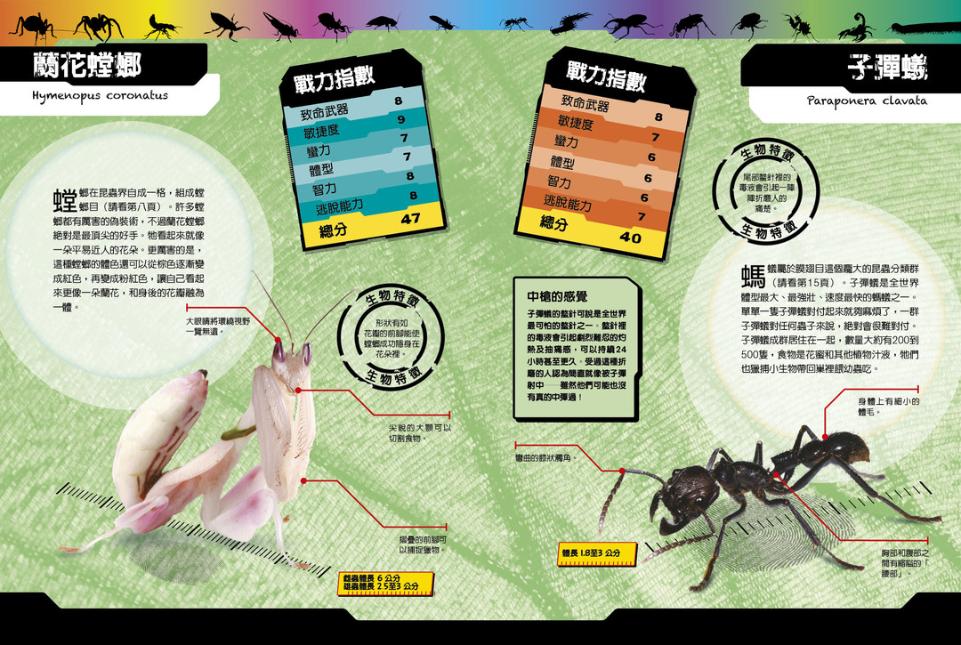 蟲蟲大對決_52-53