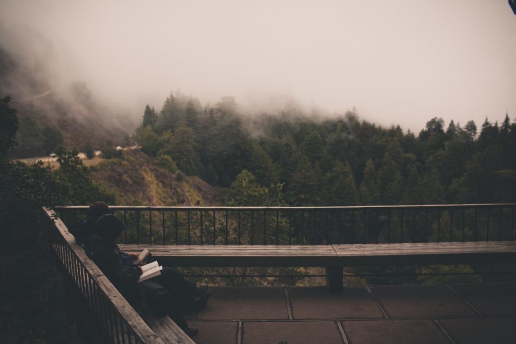 foggy-read