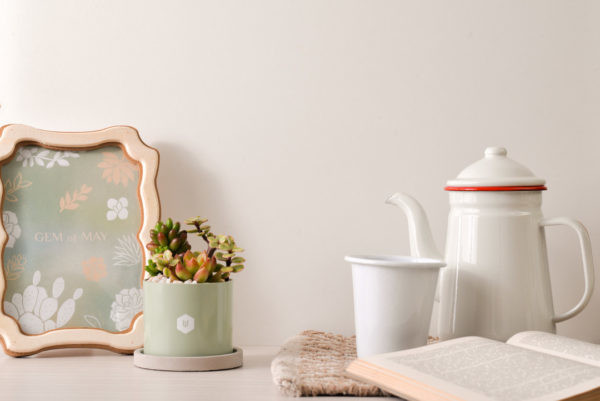 mother days gifts/ plants and flowers