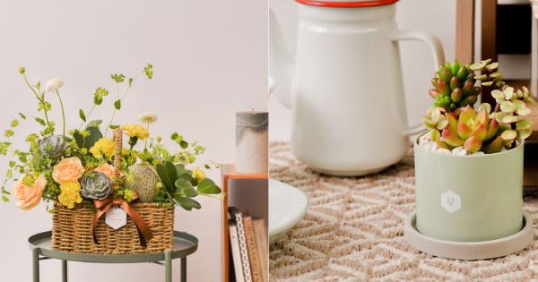 mother days gifts/ plants and flowers
