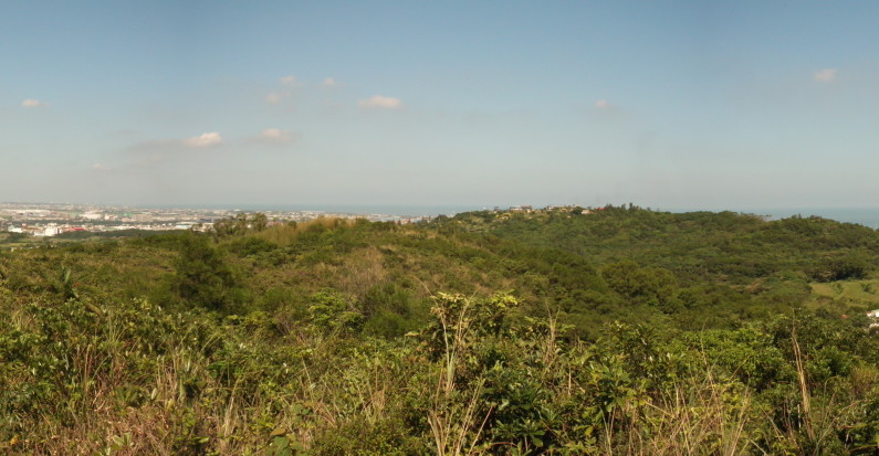 DSCF4794