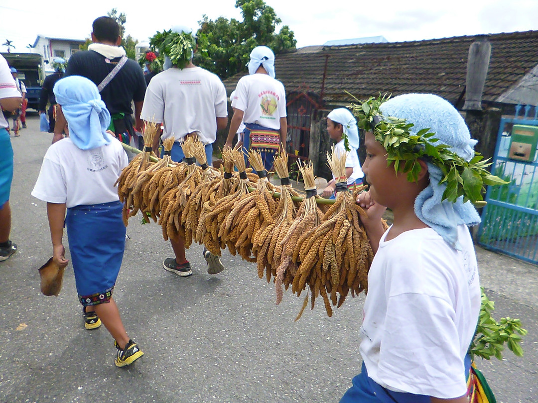  集族人之力在部落土地上種出的小米，於收穫祭時隨著勇士精神舞遊街，與族人分享豐收的喜悅，祭慰祖靈。