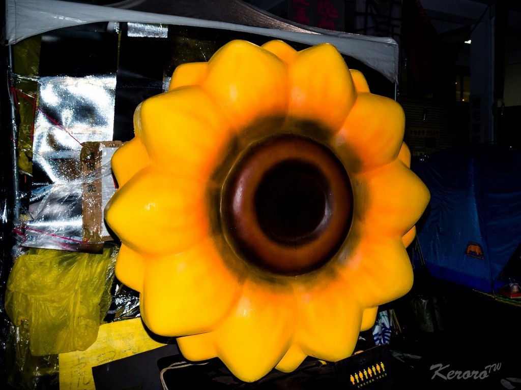  巨型太陽花（圖片來源：Flickr 中岑 范姜 CC License）