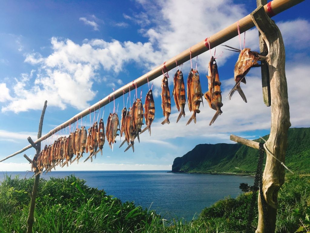 蘭嶼飛魚季