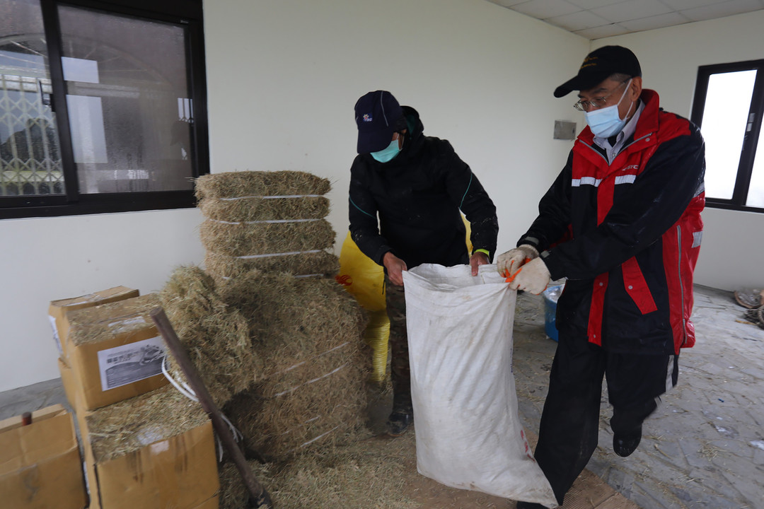 草料必須保存在乾燥的地方，陽明山國家公園管理處的工作人員會先前往放置草料的房間，在那裡混合3種草料，裝袋後以人力揹至牛棚。