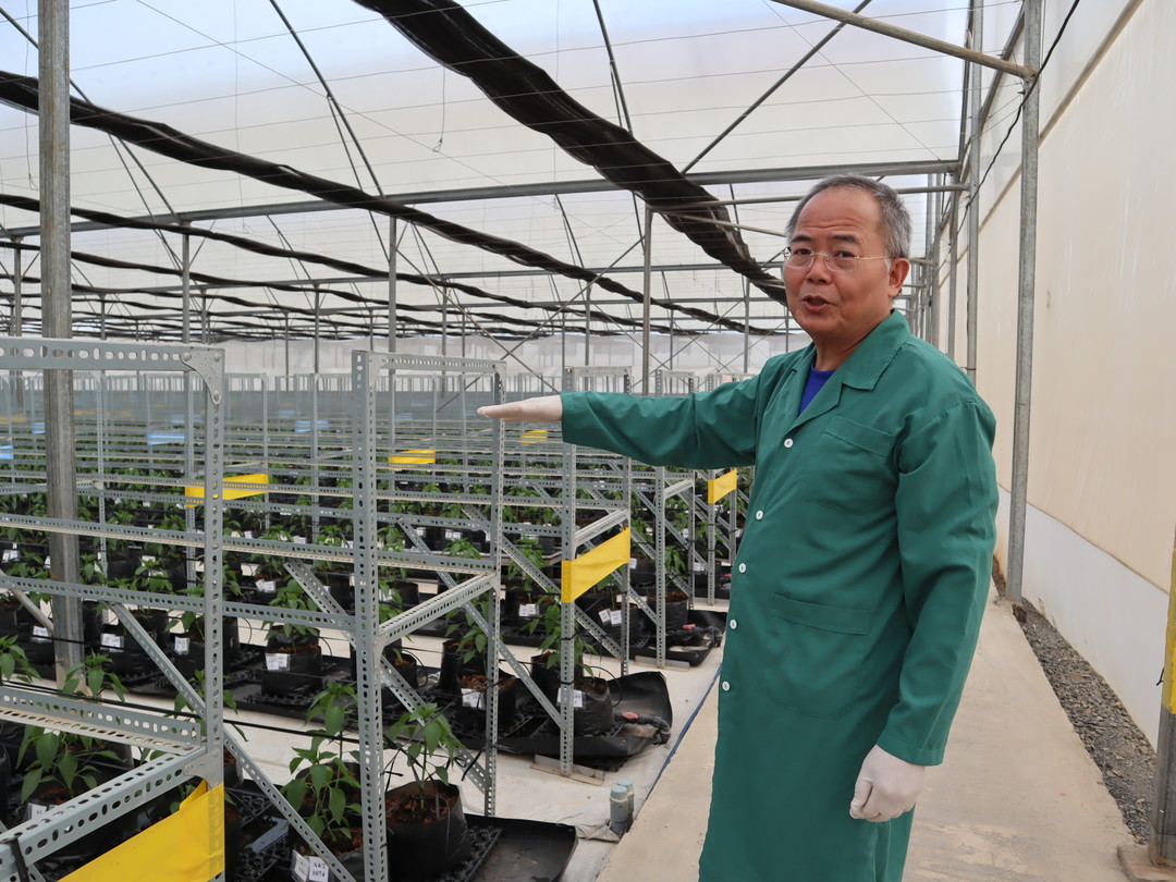 越南台商賴宏南 打造農業界晶圓代工廠
