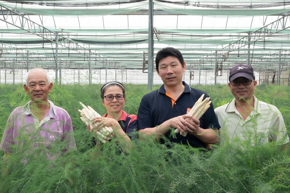 台灣有機農產品白蘆筍
